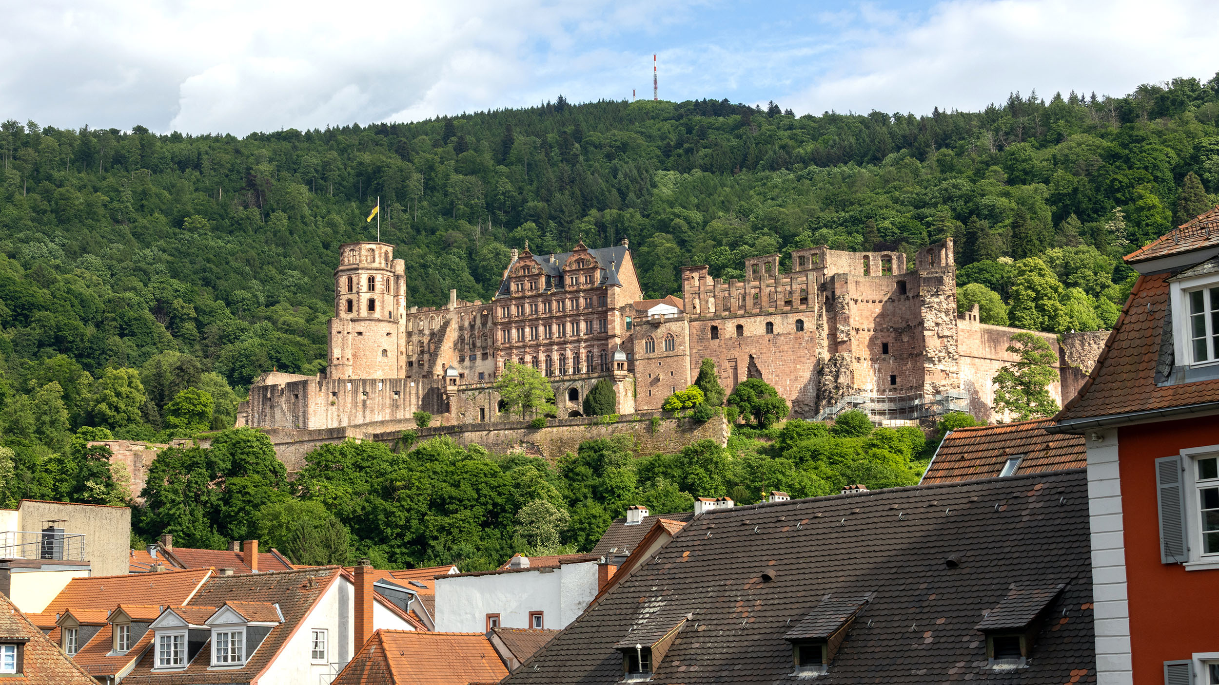 Schlossruine Heidelberger über der Stadt am Abhang des Königsstuhl