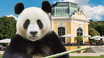 Tiergarten Schönbrunn