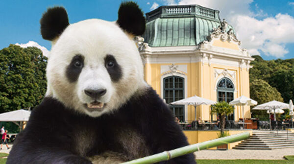 Tiergarten Schönbrunn