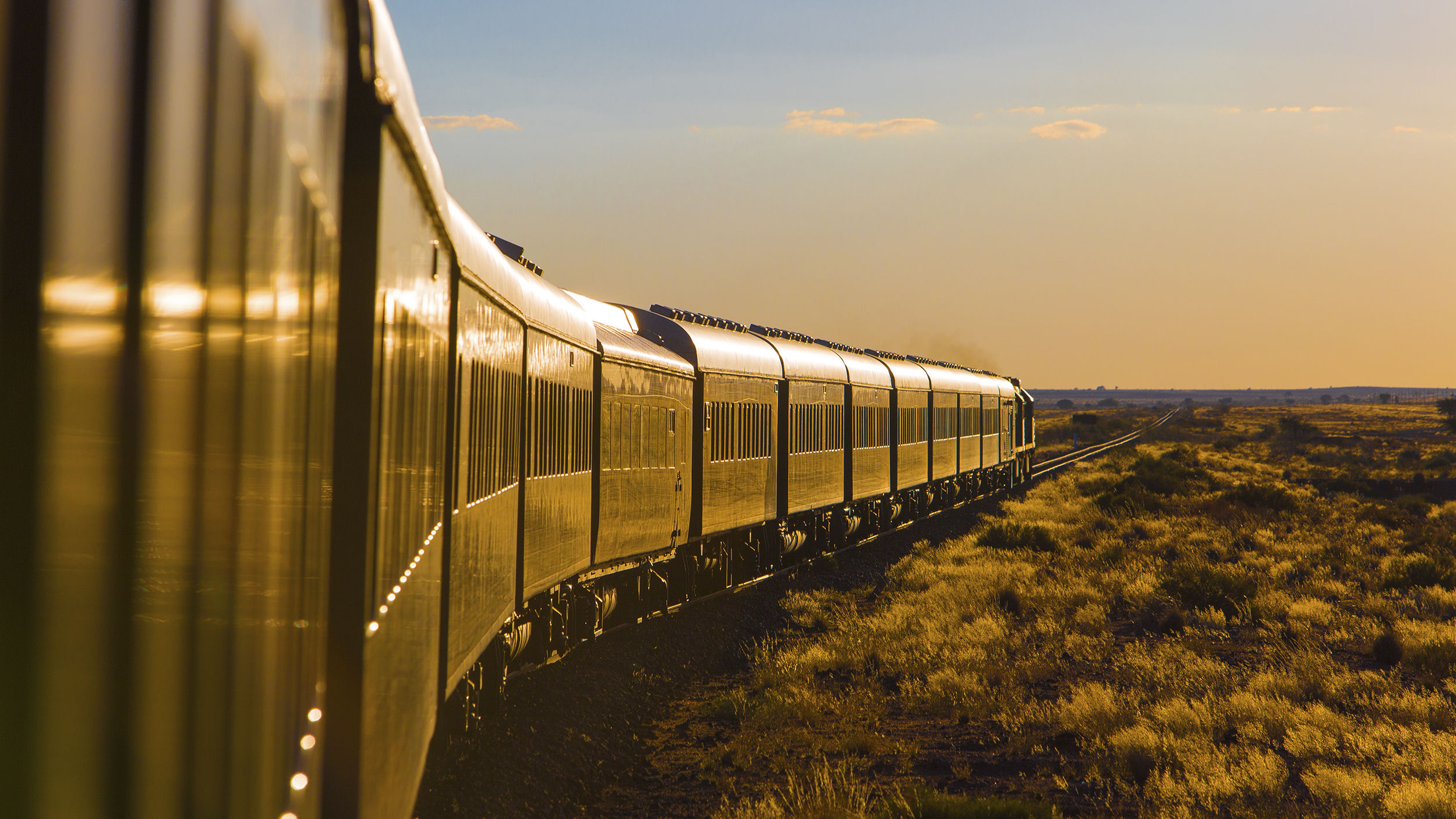Ein langer Zug fährt im warmen Abendlicht durch die Savanne.