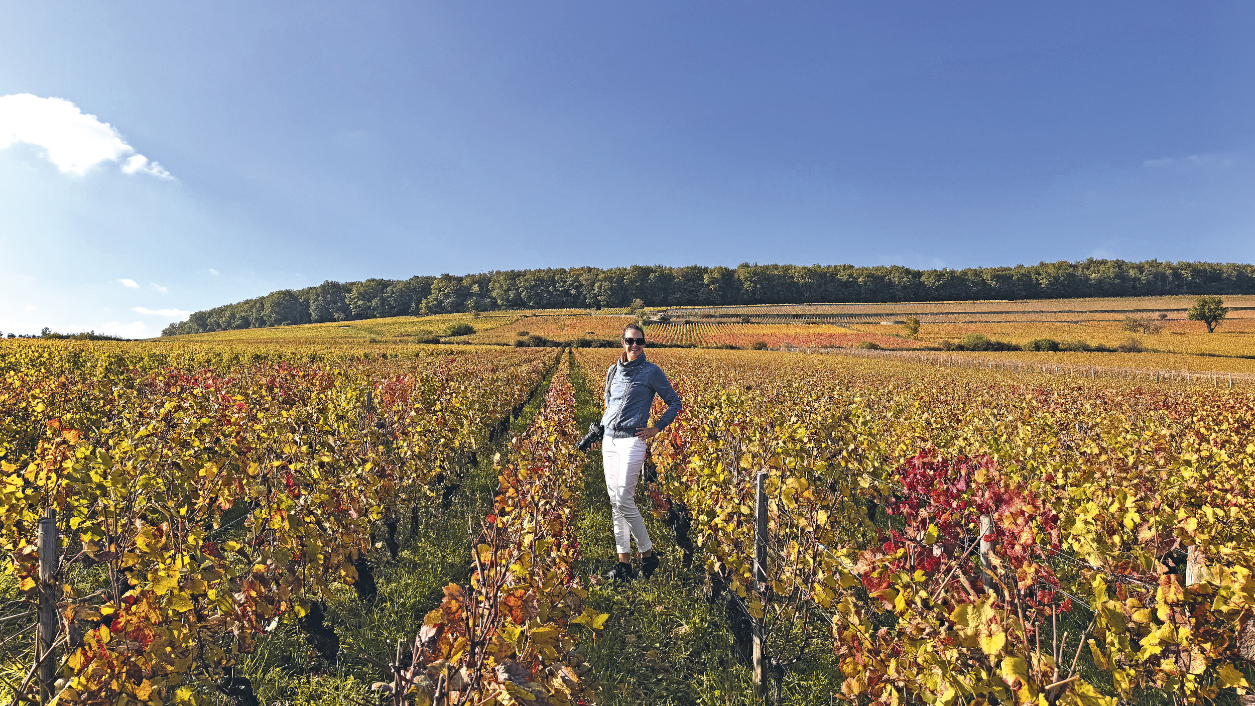 Eine Frau steht in den bunten Weinbergen im Burgund.