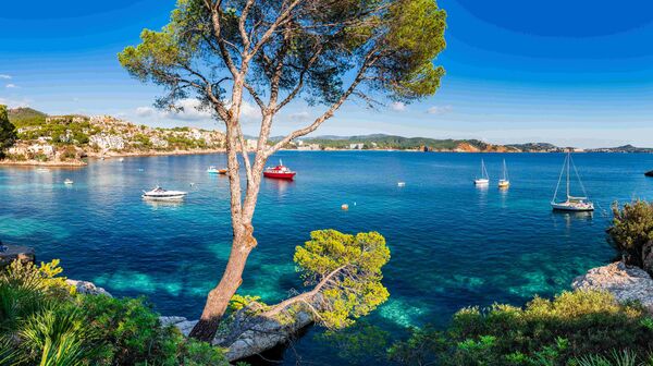 Auf dem Foto ist die Meeresbucht Cala Fornells auf Mallorca mit blauem Meer und einigen Segelschiffen und Motorbooten zu sehen.