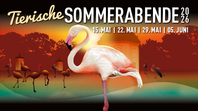 Tiergarten Schönbrunn Sommerabende