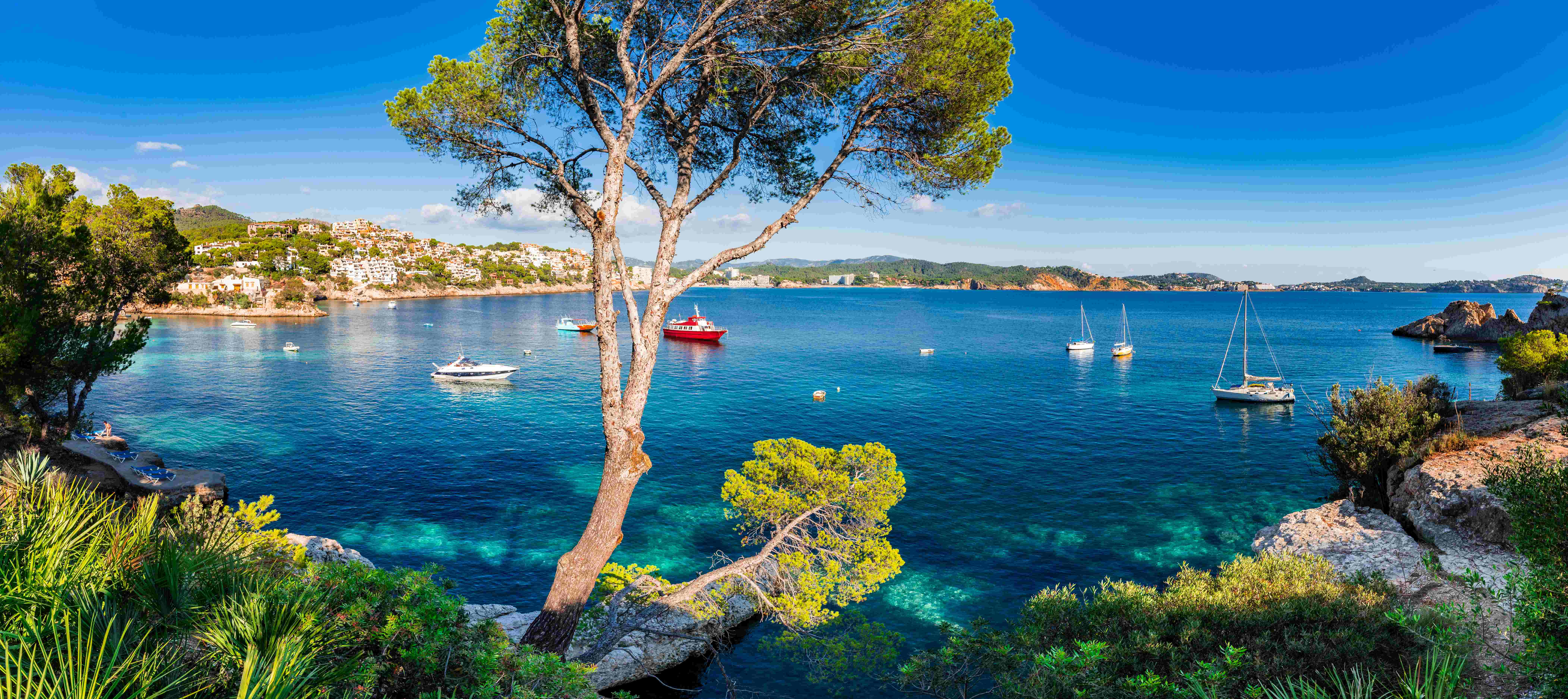 Auf dem Foto ist das Meer zu sehen. In der Mitte steht ein baum und um das Meer herum sieht man Felsen. Auf dem Meer fahren einige Boote.