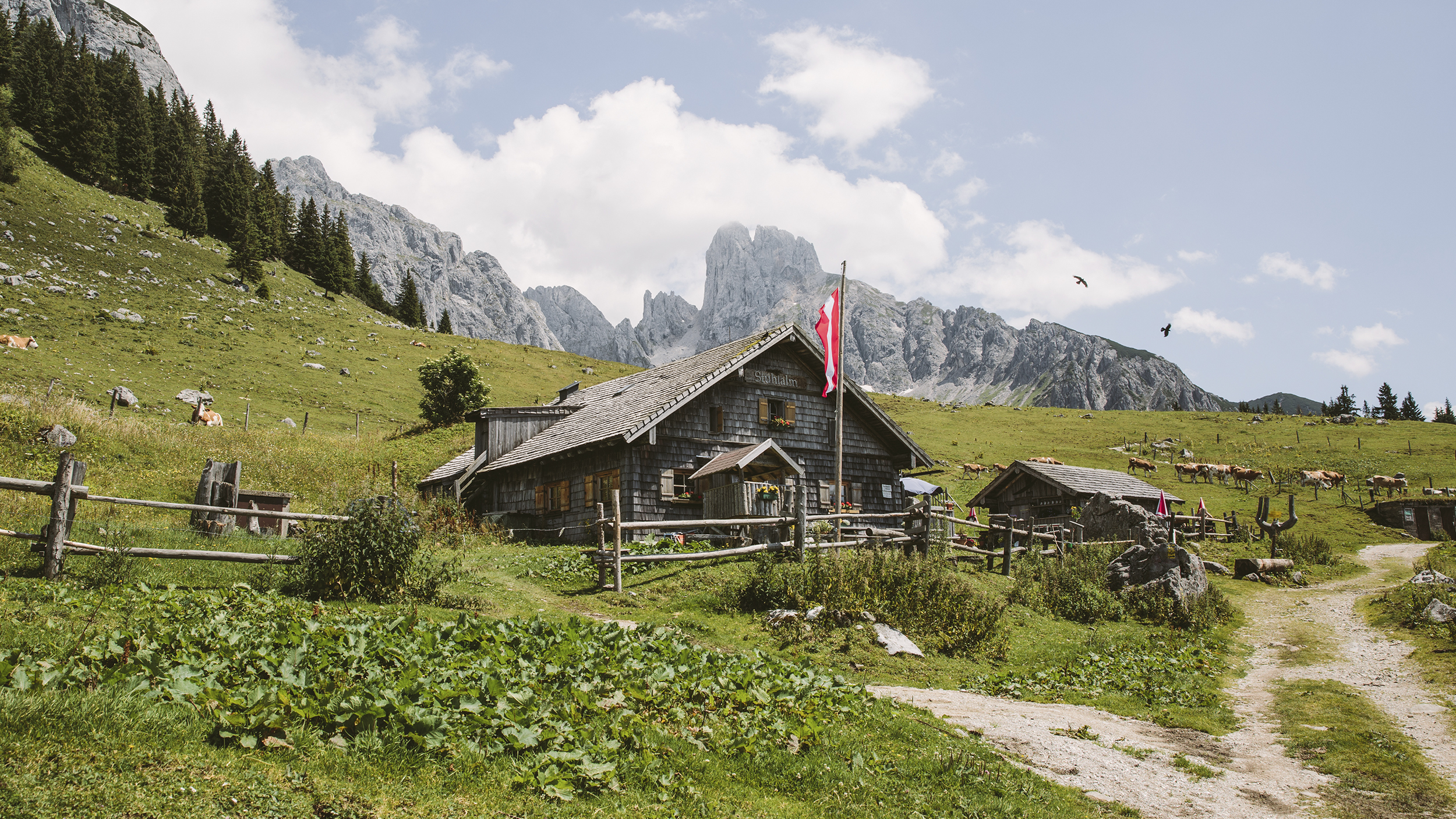 Eine Hütte in den Bergen. Im Hintergrund sieht man eine Alm mit Kühen und den Dachstein.