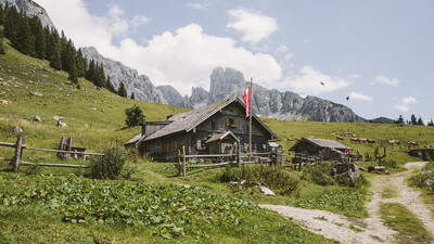 Eine Hütte in den Bergen. Im Hintergrund sieht man eine Alm mit Kühen und den Dachstein.