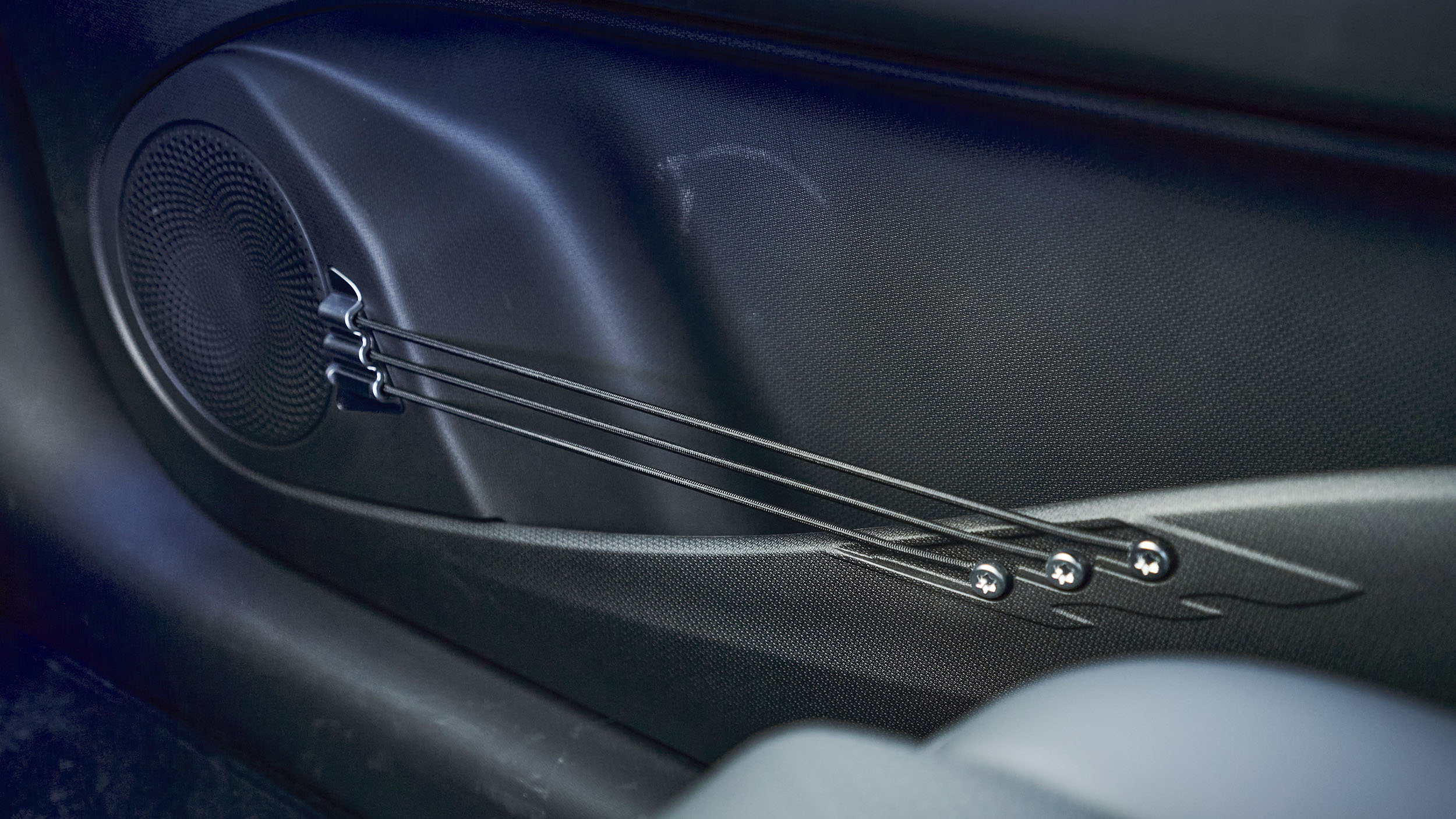 BYD Atto 3 Evo: Türfach mit an Gitarrensaiten erinnernden Seitenwand