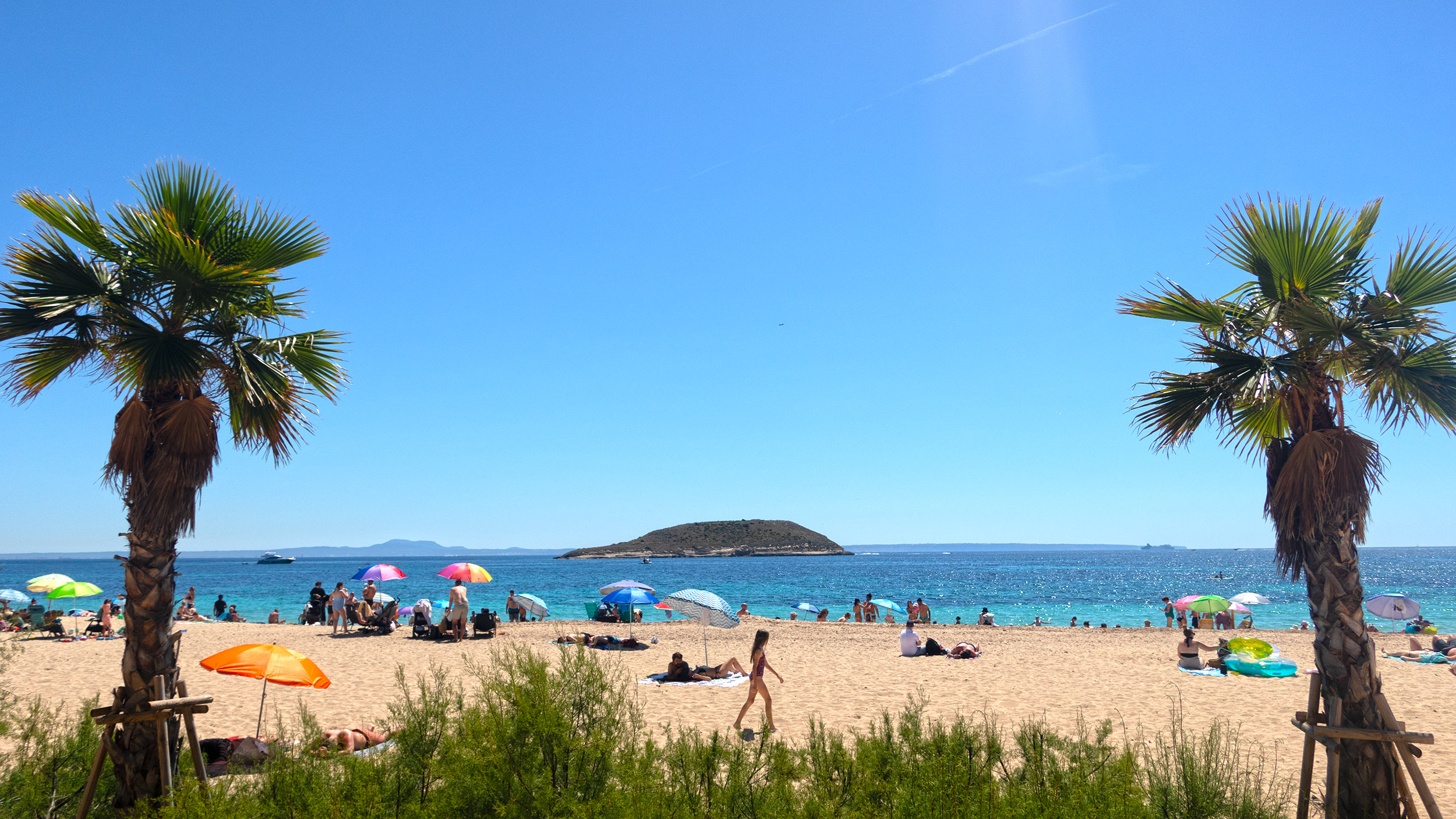 Blick auf den Strand mit Palmen und das Meer.