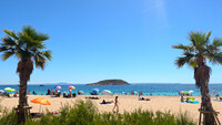 Blick auf den Strand mit Palmen und das Meer.