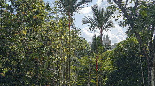 Die Petronas Towers durch viele grüne Pflanzen aus fotografiert.