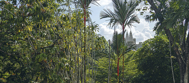 Die Petronas Towers durch viele grüne Pflanzen aus fotografiert.