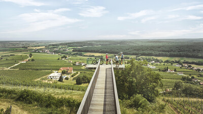 Blick auf das grüne Burgenland, Weinberge.