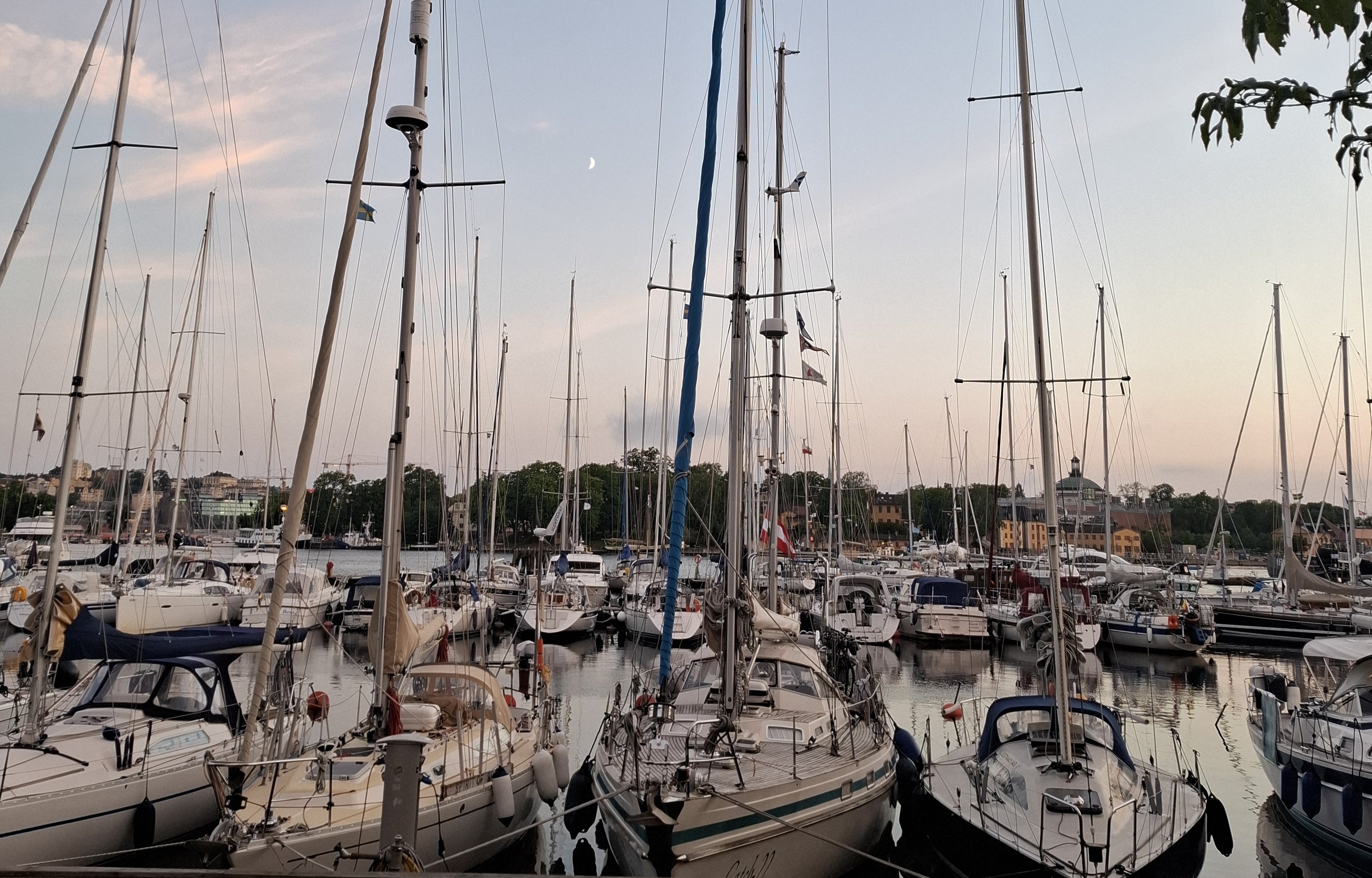 Auf dem Bild sind mehrere Boote von vorne zu sehen, die am Hafen in Stockholm stehen.