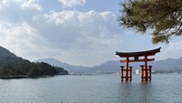 Das Foto zeigt einen japanischen Schrein im Wasser