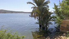 Philae