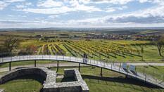 Eine Ausblicksrampe bietet weiten Blick über Weingärten im Weinviertel. Eine Person im Rollstuhl samt Begleitung genießen den Ausblick.