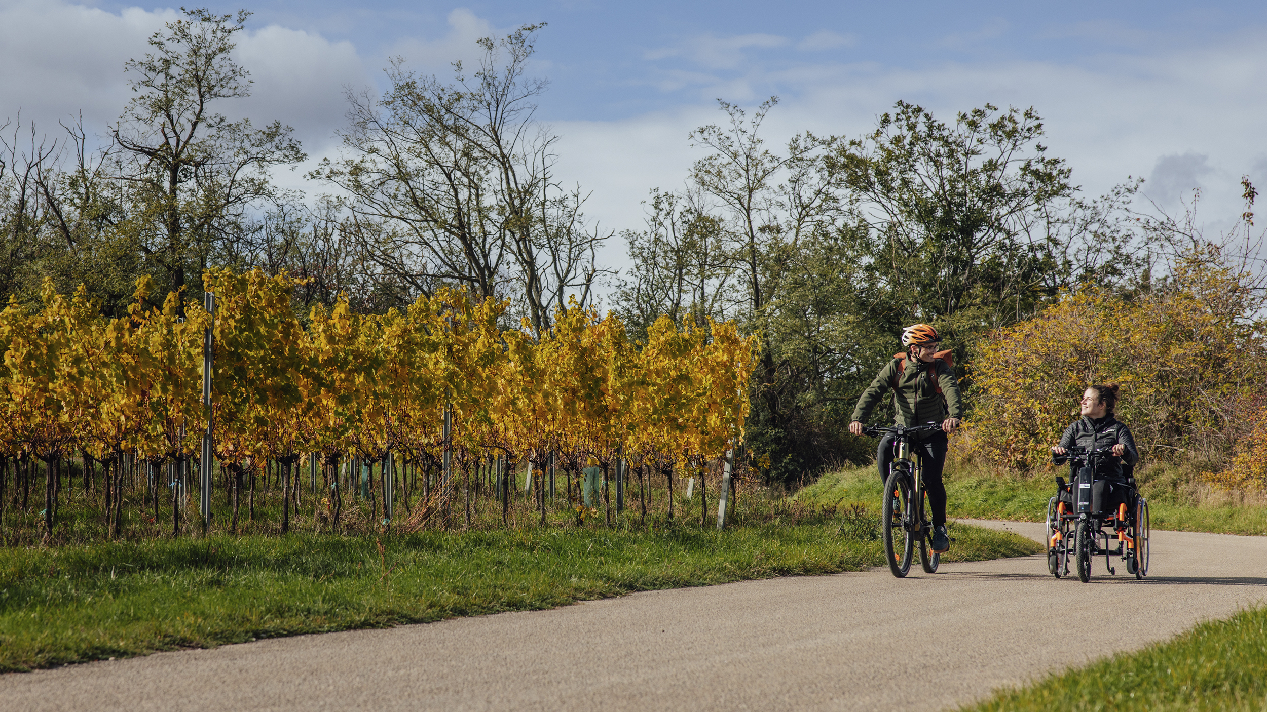 Eine Rollstuhlfahrerin im E-Rollstuhlbike fährt neben einem Radfahrer an Weingärten vorbei.