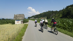 Eine Gruppe Radler:innen die Überland unterwegs sind.