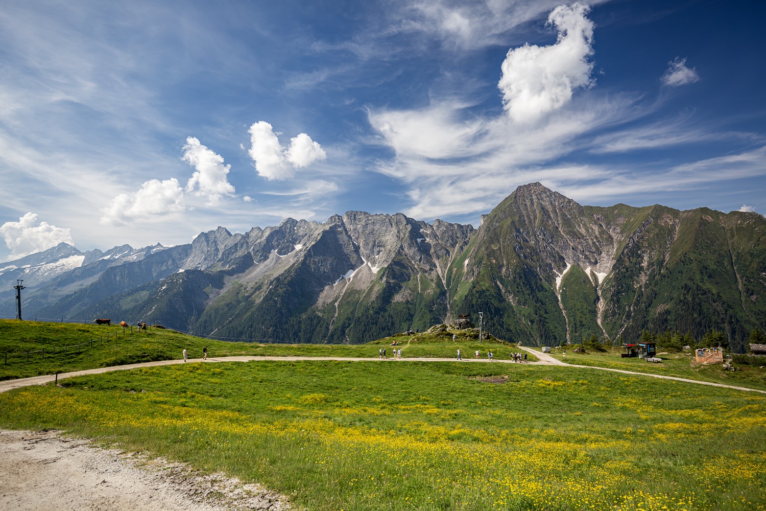 Das Bild zeigt eine grüne Wiese und eine Bergkette.