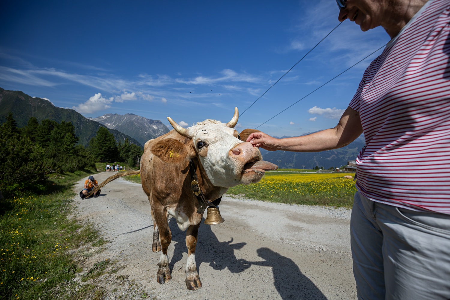 Das Bild zeigt, wie eine Frau eine Kuh streichelt.