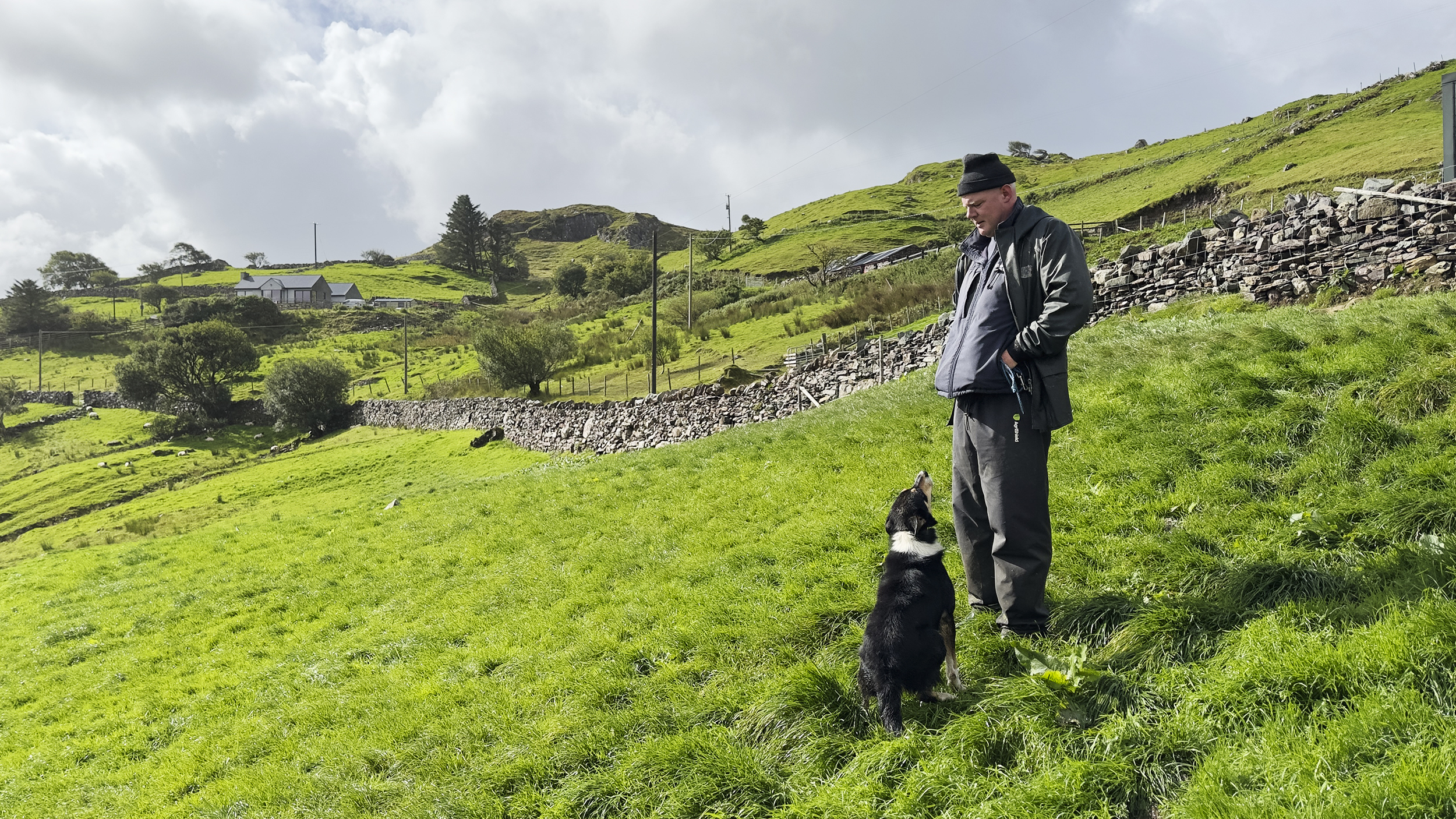 Ein Schäfer mit seinem Hund steht auf einer grünen Wiese.