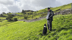 Ein Schäfer mit seinem Hund steht auf einer grünen Wiese.