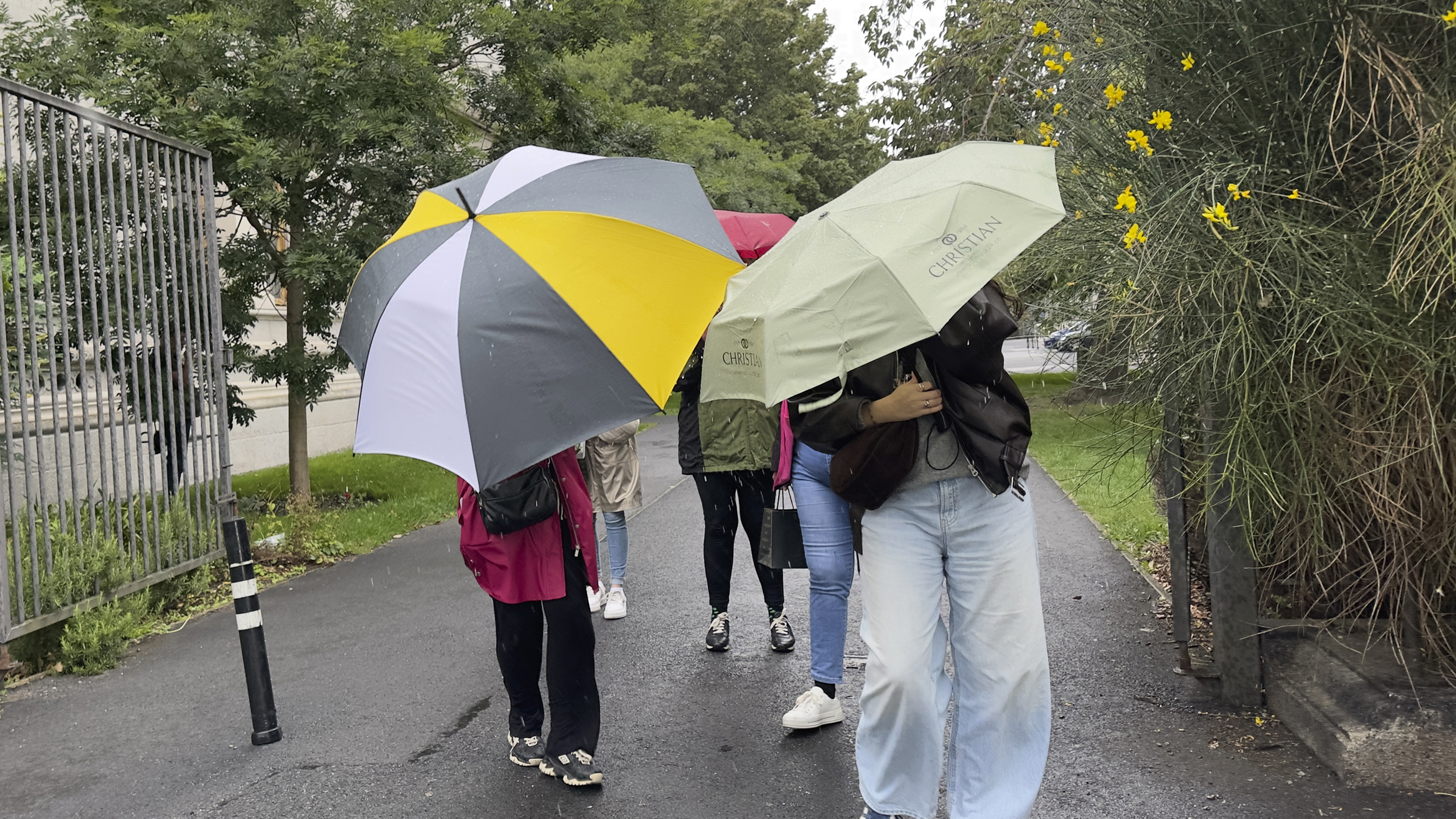 Mehrere Menschen gehen bei Regen mit aufgespannten Schirmen über einen nassen Weg. Im Vordergrund sind ein gelb-grau-weißer und ein hellgrüner Schirm zu sehen.