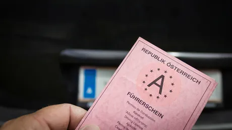 Ein alter rosa Papierführerschein aus Österreich, im Hintergrund ein Nummernschild