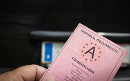 Ein alter rosa Papierführerschein aus Österreich, im Hintergrund ein Nummernschild