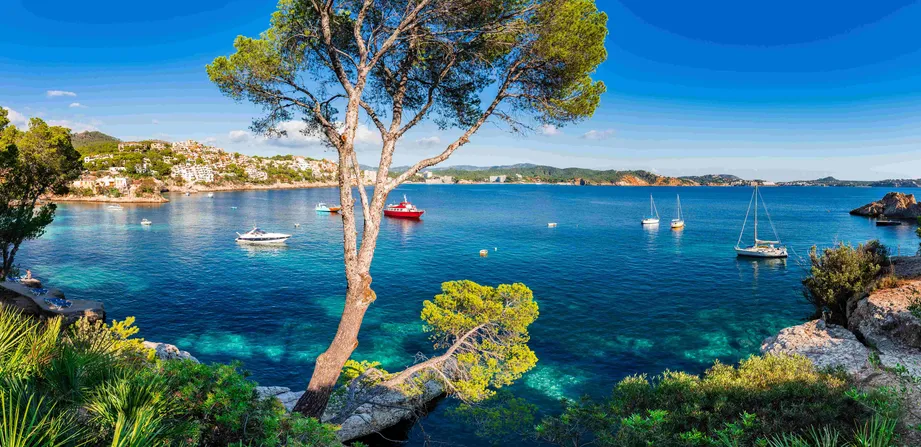 Auf dem Foto ist die Meeresbucht Cala Fornells auf Mallorca mit blauem Meer und einigen Segelschiffen und Motorbooten zu sehen.