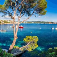Auf dem Foto ist die Meeresbucht Cala Fornells auf Mallorca mit blauem Meer und einigen Segelschiffen und Motorbooten zu sehen.