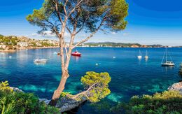Auf dem Foto ist die Meeresbucht Cala Fornells auf Mallorca mit blauem Meer und einigen Segelschiffen und Motorbooten zu sehen.