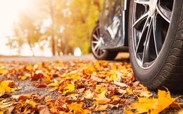 AdobeStock_386575238-min.jpeg Adobe Stock