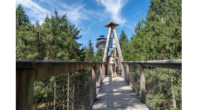 Baumkronenweg Baumkronenweg Kopfing