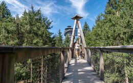 Baumkronenweg