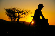 Botswana_2015_09_MIkeHill_CMS_77.JPG