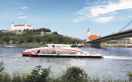 Twin City Liner 