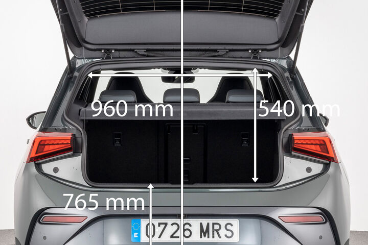 Cupra Born VZ (06/2024 - 04/2026)