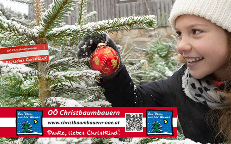 2025 OÖ Christbaumbauern neu