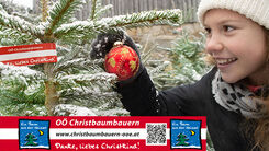 2025 OÖ Christbaumbauern neu