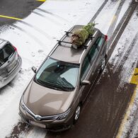 Christbaumtransport am Dach