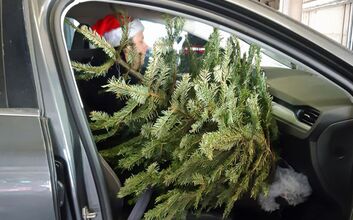 Christbaumtransport_2.JPG ÖAMTC