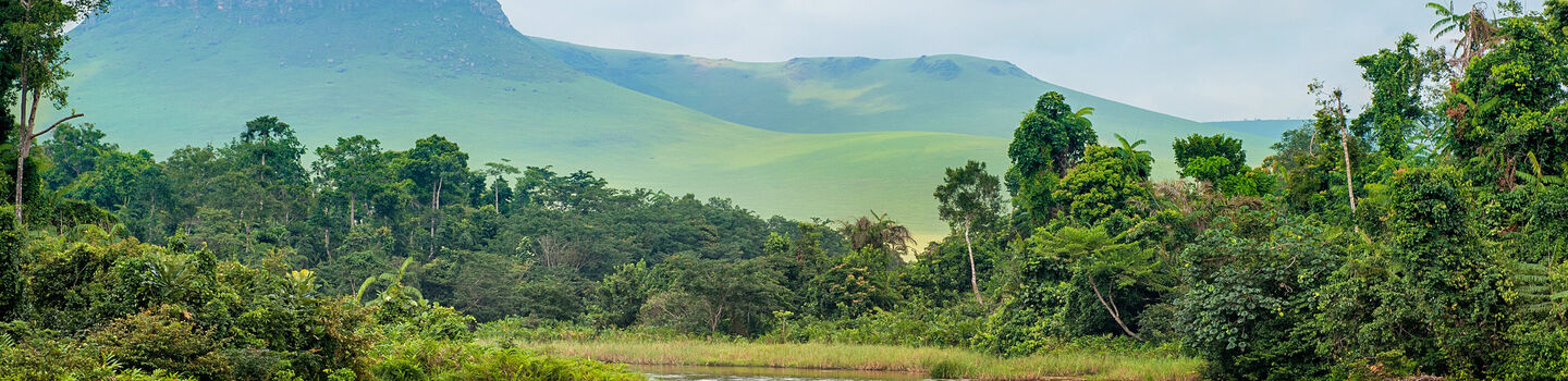 Panoramablick auf grüne Berge und dichten Wald in der Demokratischen Republik Kongo