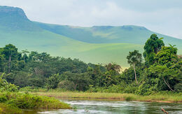 Panoramablick auf grüne Berge und dichten Wald in der Demokratischen Republik Kongo