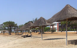 Panoramablick auf einen ruhigen Sandstrand mit Palmen an der Küste von Guinea