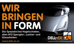 DELL-EX_16_WBIFl DELL-EX