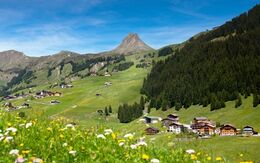 Berglandschaft mit Nadelbäumen, Blumen und Hütten.