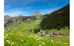 Berglandschaft mit Nadelbäumen, Blumen und Hütten.
