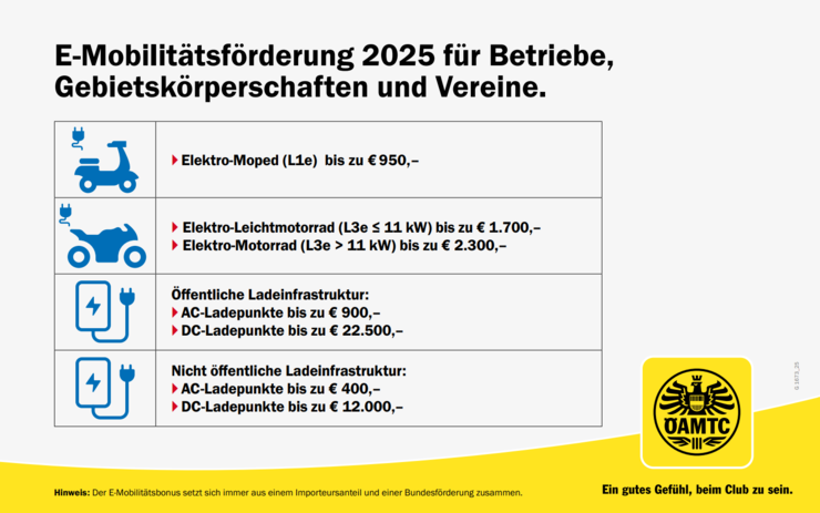 Infografik zum Thema E-Mobilitätsförderungen für Betriebe, Gebietskörperschaften und Vereine.