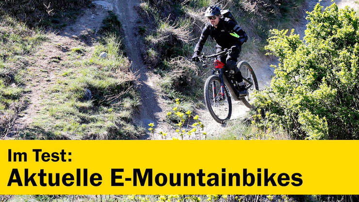 Platzhalter Platzhalter